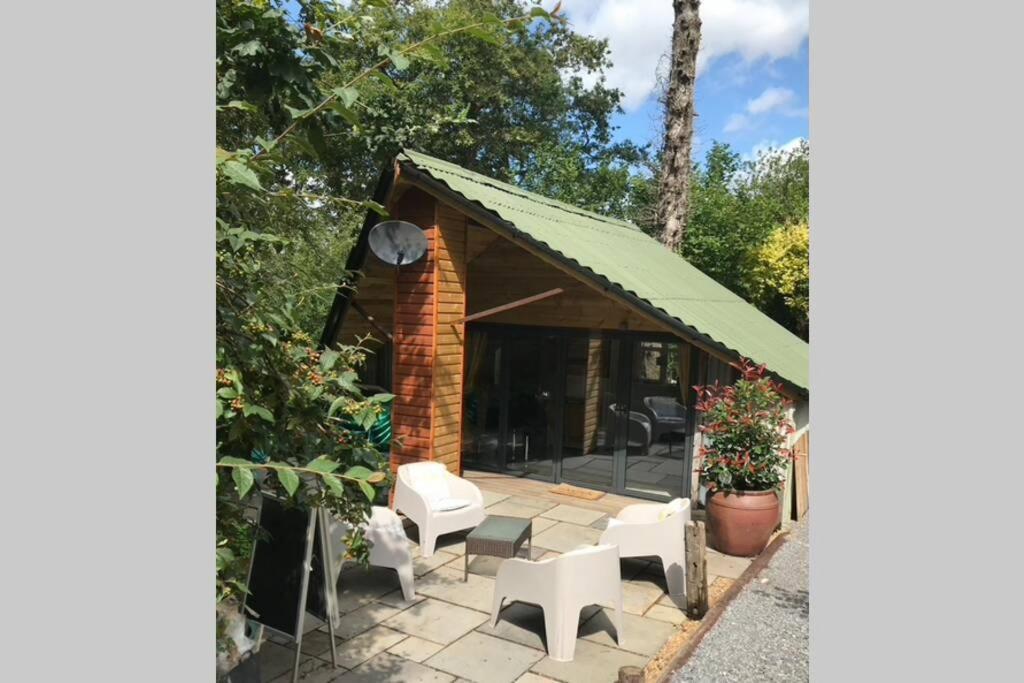 The Shed . A Cosy, Peaceful, 96% Recycled, Chalet. Swansea Eksteriør billede