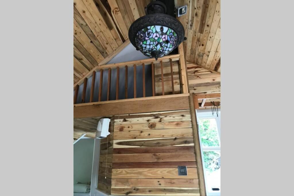 The Shed . A Cosy, Peaceful, 96% Recycled, Chalet. Swansea Eksteriør billede