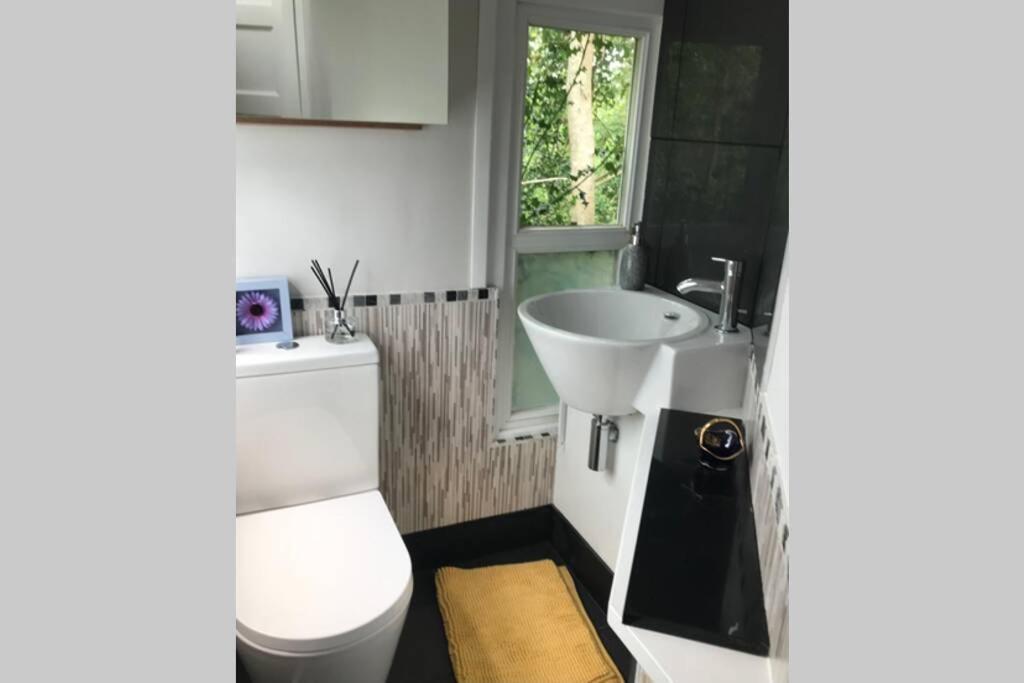 The Shed . A Cosy, Peaceful, 96% Recycled, Chalet. Swansea Eksteriør billede