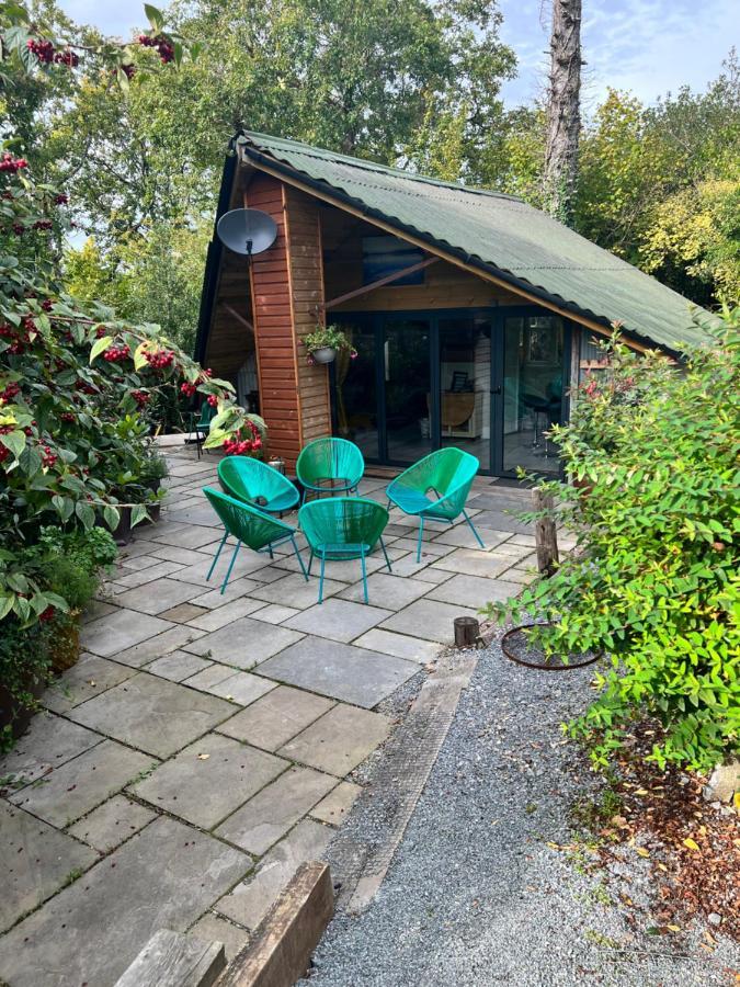 The Shed . A Cosy, Peaceful, 96% Recycled, Chalet. Swansea Eksteriør billede